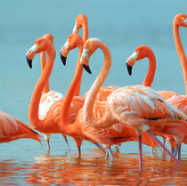 Zdjęcie pięknego miejsca na świecie